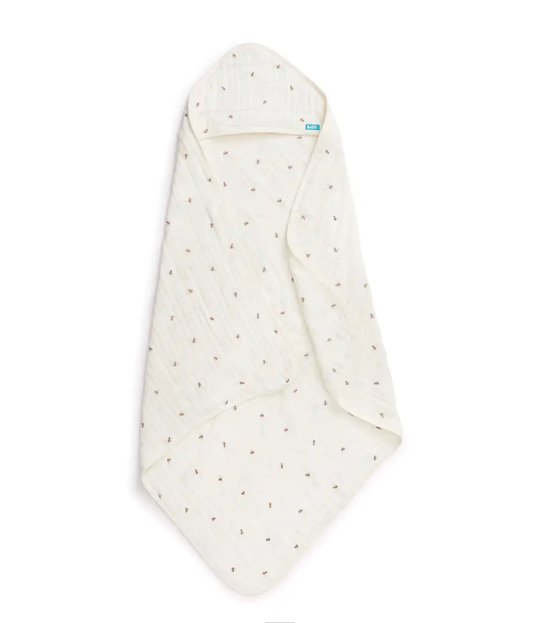 lovetodreamshop.us.com