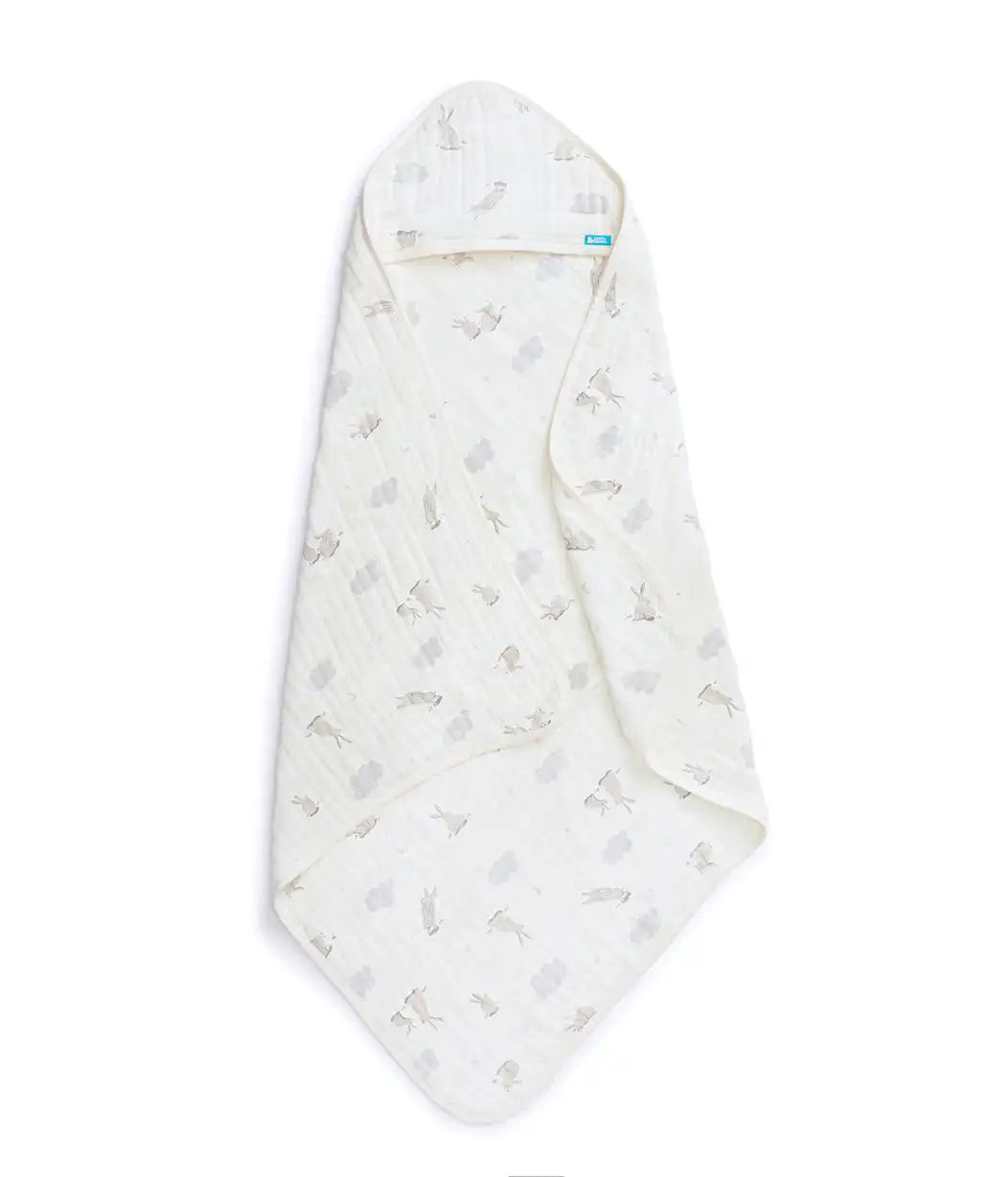lovetodreamshop.us.com